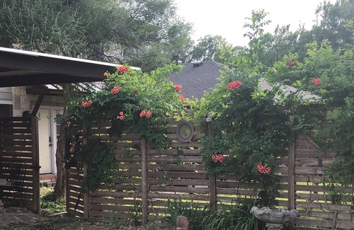 Northwest Dallas House | International Homestay