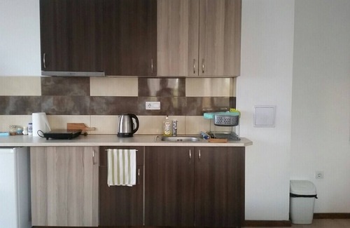 Aleksandrovo Apartment | Inviting 1-Bed Apartment in Aleksandrovo
