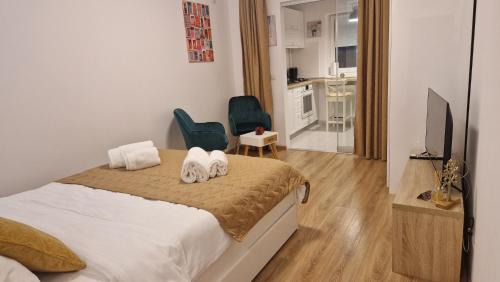 Sector 3 Apartment | IREMA Urban Studio Pallady - Free Parking