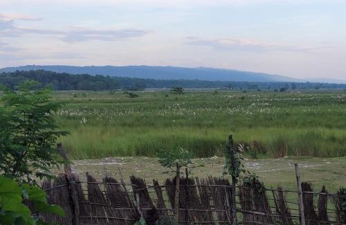 Chitwan District House | Ishq Sanctum- A Conscious Guest House