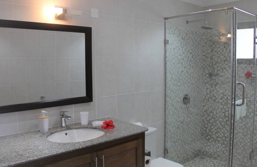 Anse Royale Apartment | Island Cove (View King)