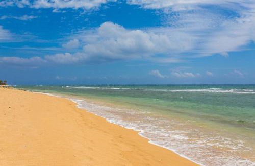 Wailua Apartment | Islander Ocean Resort Condo # 166