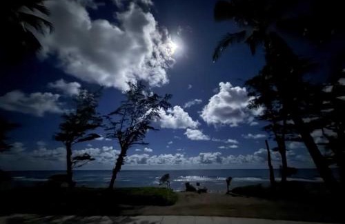 Wailua Apartment | Islander on the Beach 249