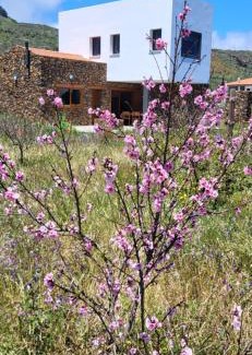 Isora House | Isora - La Retrinca