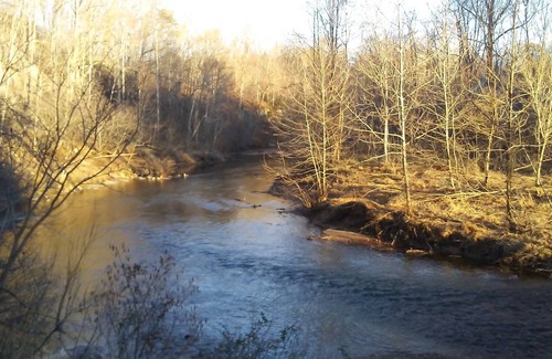 Faber Cabin | It's Like Your Own Private Nature Reserve-Peaceful-New Beautiful Cabin!