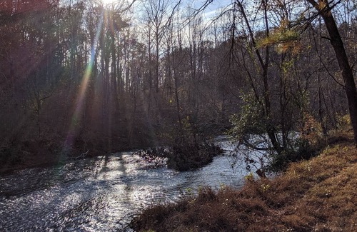 Faber Cabin | It's Like Your Own Private Nature Reserve-Peaceful-New Beautiful Cabin!