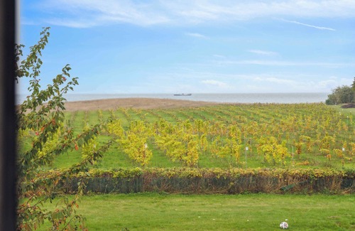 Karrebksminde Apartment | Italien vinyard feeling close to Karrebæksminde