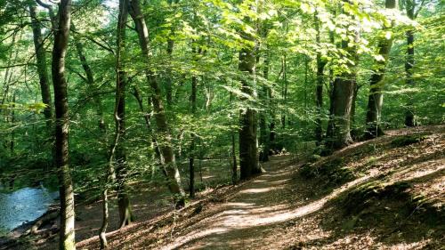 Reinbek Hotel | ITM Hotel Bettkästchen am Sachsenwald