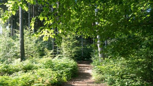 Reinbek Hotel | ITM Hotel Bettkästchen am Sachsenwald