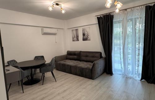 Calea Sever Bocu Apartment | Iulius Mall apartament