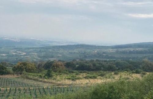 Svaty Jur Other | Ivi karavan na čarovnom mieste