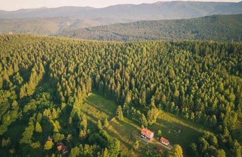 Stara Kamienica House | Izerski Horyzont - dom z balią w leśnej perspektywie