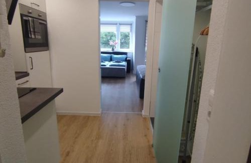 Baiersbronn Apartment | J&L Flat with Pool in Baiersbronn