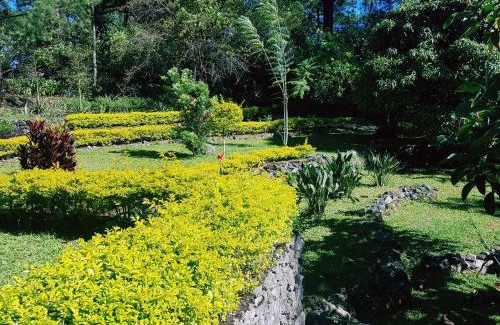 Baguio House | Jabbitos Baguio Transient House BUNGALOW
