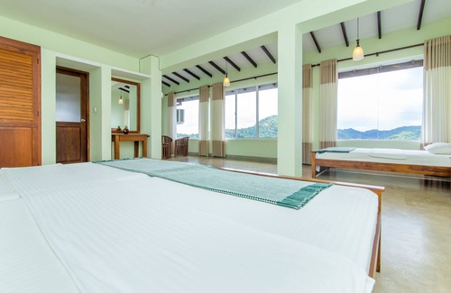 Primrose House | Jack Tree Lodge