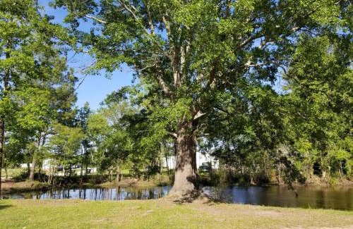 McCutcheon Field House | Jacksonville Ranch with private Hottub and Pool, stocked Pond, Bike and Hiking trails