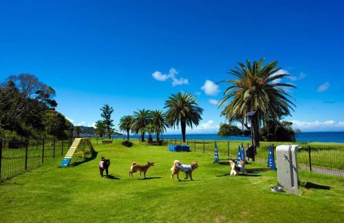 Tateyama Hotel | Japari Tateyama - Vacation STAY 75921v