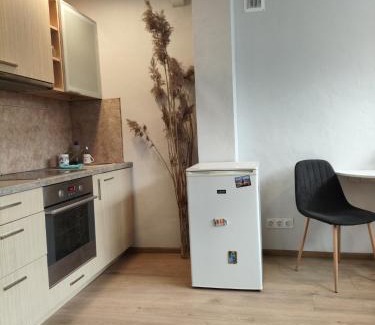 Klaipeda Apartment | Jaunystės studija