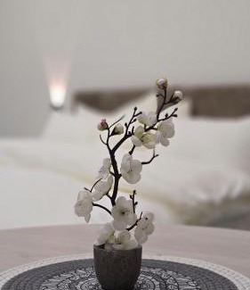 Jerash House | Jeeso hotel