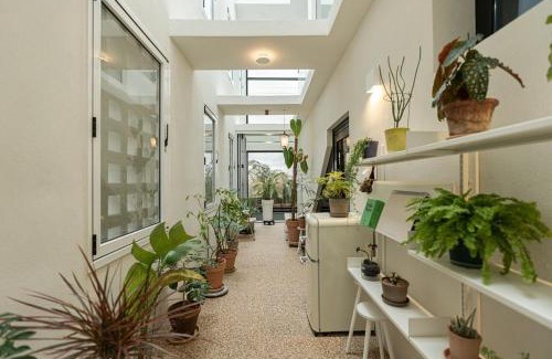 Aewol House | Jeju Rapauza Stay