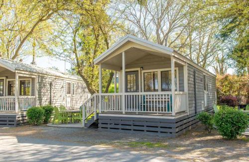 Tower Park Other | Jellystone Park Tower Park Resort
