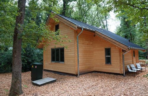 Norg House | Jesse's Log Cabin