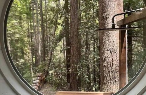 Little River Cabin | Jimmy’s Hike In cabinn A tranquil retreat, family, and romantic getaway