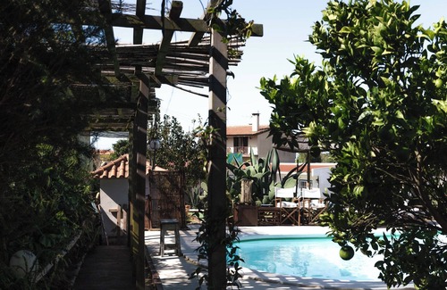 Assafora Apartment | João Jungle