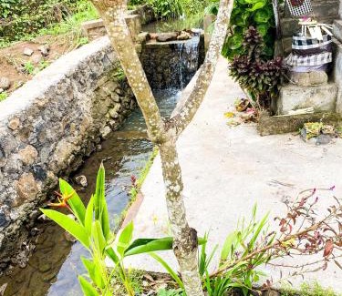 Kediri House | Joglo Breeze Guesthouse and Villa
