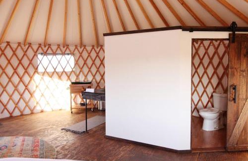 Johnson City Other | Johnny Yurts - The Lavender