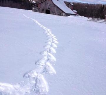Whitingham House | Johns Farmhouse in Mount Snow on 120 Acres!