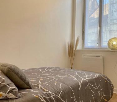 Chateau-Thierry Apartment | Joli appartement au coeur de ville
