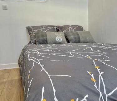 Chateau-Thierry Apartment | Joli appartement au coeur de ville