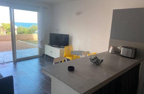 Tarcu Apartment | Jolie T2 bord de mer corse du sud