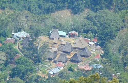 Moni Other | JONATHAN CAMPING GROUND