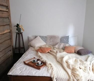 Druskininkai Apartment | Jono Trobele