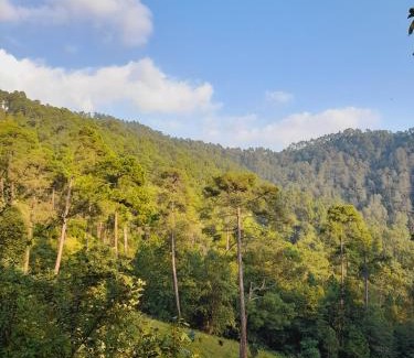 Almora Cabin | Joshi Cottage Binsar