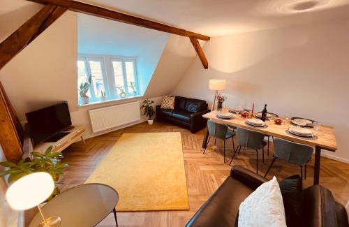 Sued Apartment | Jugendstil-Altbauwohnung mit Dachterrasse direkt an der Karlsaue