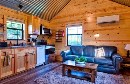 Austin Cabin | Julie's Cabins Luxury Retreat 2