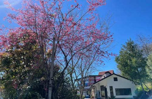 Ren'ai House | Julie's Garden, Cingjing - Fon Chin Homestay