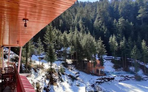 Junga House | Junga Retreat and Tree House by StayApart