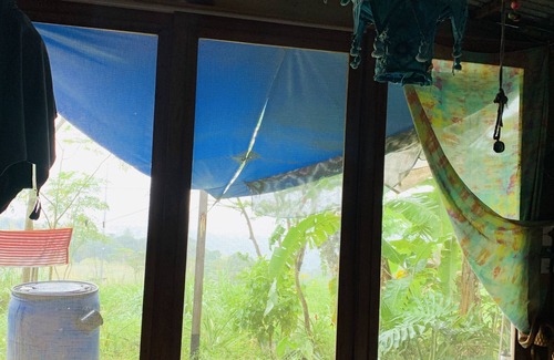 Tarapoto House | Jungle Harbor Pinnacle