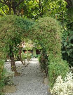 Bukit Lawang House | Jungle house and treking