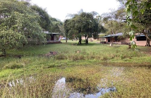 Masinagudi Resort | Jungle Hut Resort
