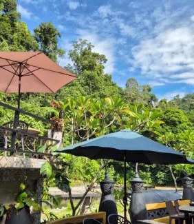 Bukit Lawang Hotel | Jungle Inn Bukit lawang