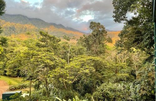 Ballena Cabin | Jungle Passion Lodge