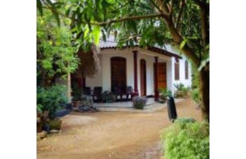 Udawalawa Cabin | Jungle Safari Cottage