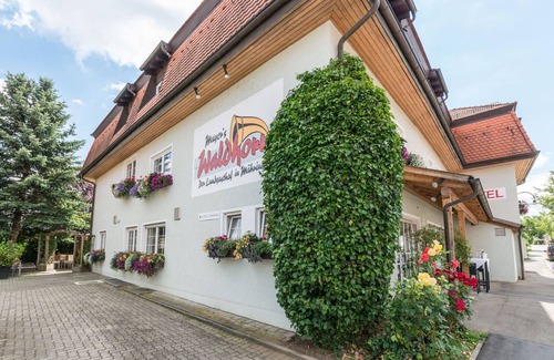 Mahringen Apartment | Junior Suite, 55qm mit Balkon, Flachbild TV und WLAN