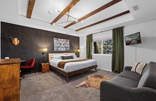North Central Evergreen House | Juniper Lodge & Treehouses