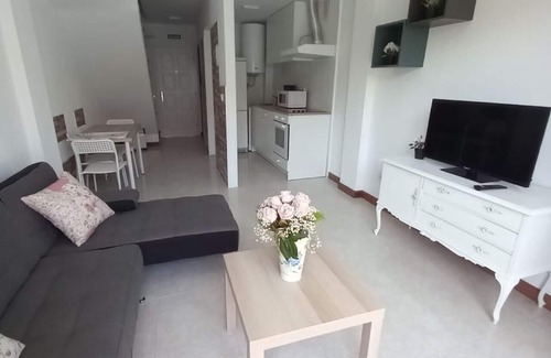 Isla Apartment | junto a la playa - El Encinar 4407
